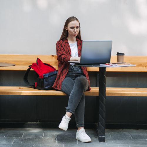Buscar empleo utilizando internet.