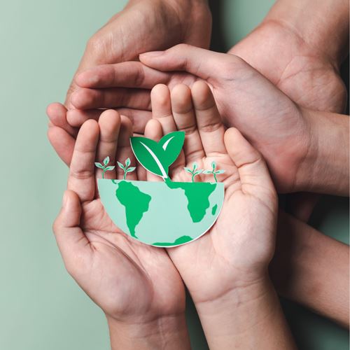 CAMÍ DE LA SOLIDESA