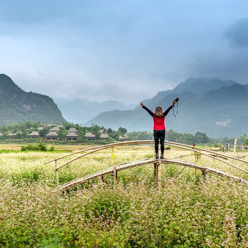 Entrena tu bienestar: claves para un vida feliz