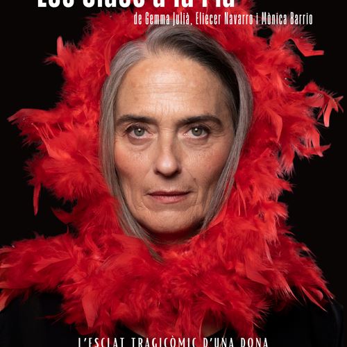 ESPECTÀCLE  DE TEATRE