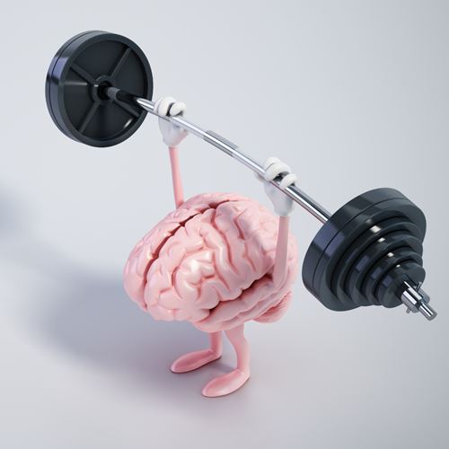 Gimnasio de la memoria