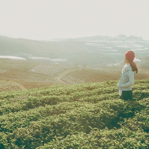 Grupo terapéutico. Resurgiendo