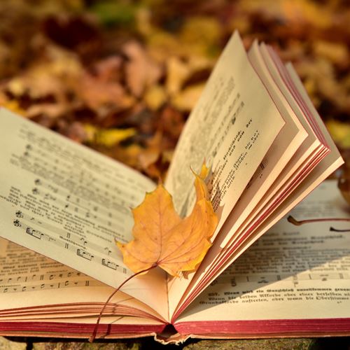 Huellas Borradas: Mujeres de nuestra Historia. Especial defensoras de los Derechos Humanos