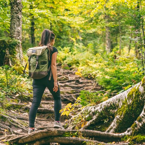 Los paseos del Mirabal: Nos vamos a la montaña