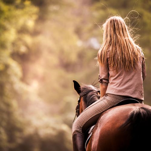 Paseo a caballo en la sierra de Guadarrama 🌳🐎 & Aperitivo
