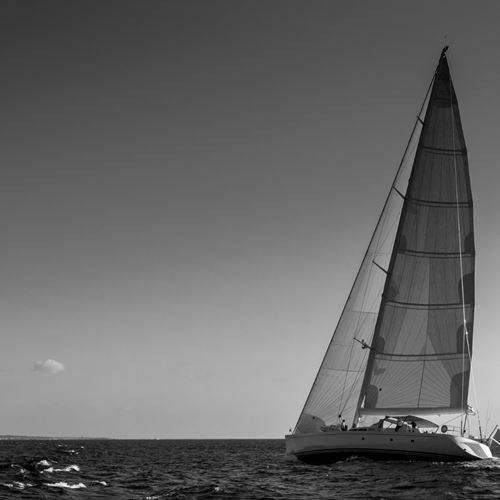 Puig Women's America's Cup
