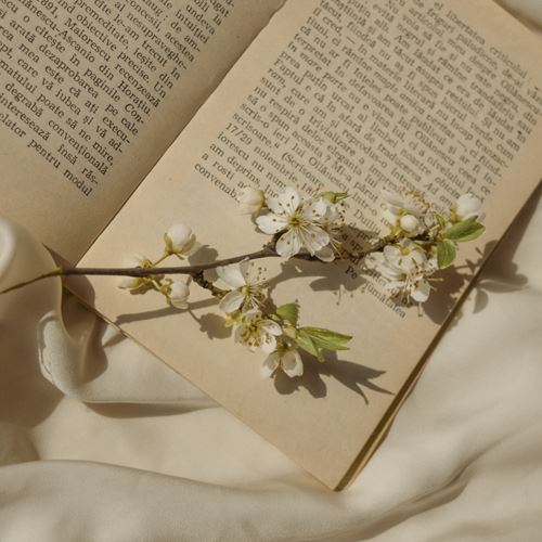 Recital de poesia de la dona