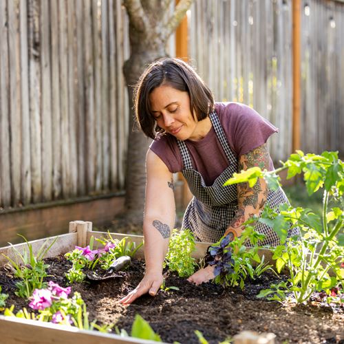 Vamos juntas al huerto comunitario: Cultivos agroecológicos