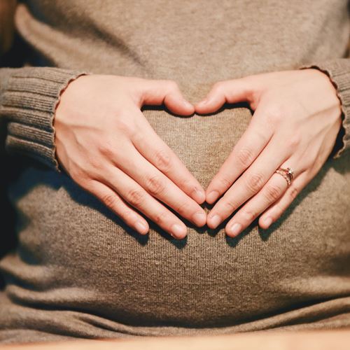 Visita gratuïta a FERTILAB